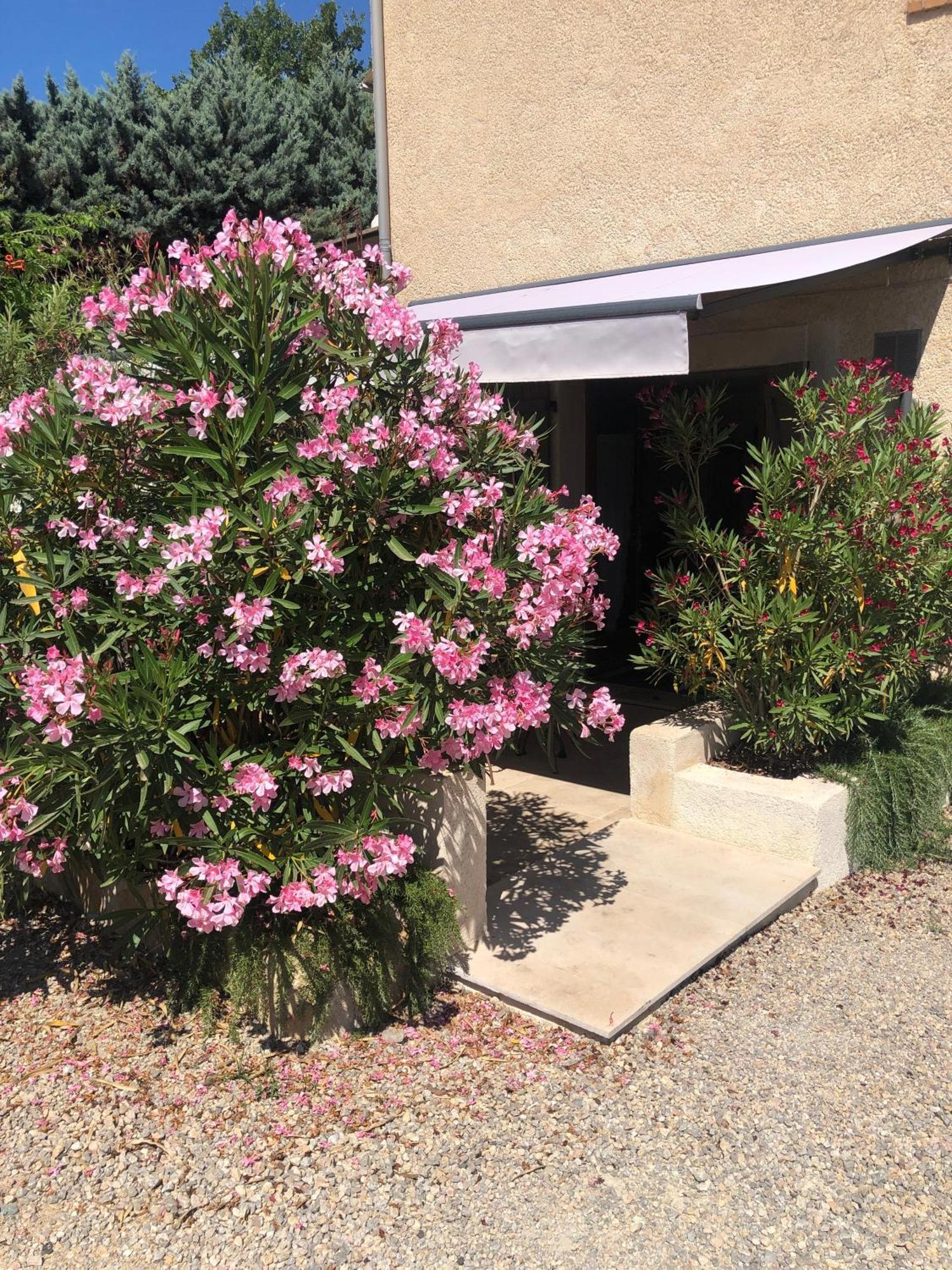 Le Cocon De Provence Appartement Fayence Buitenkant foto